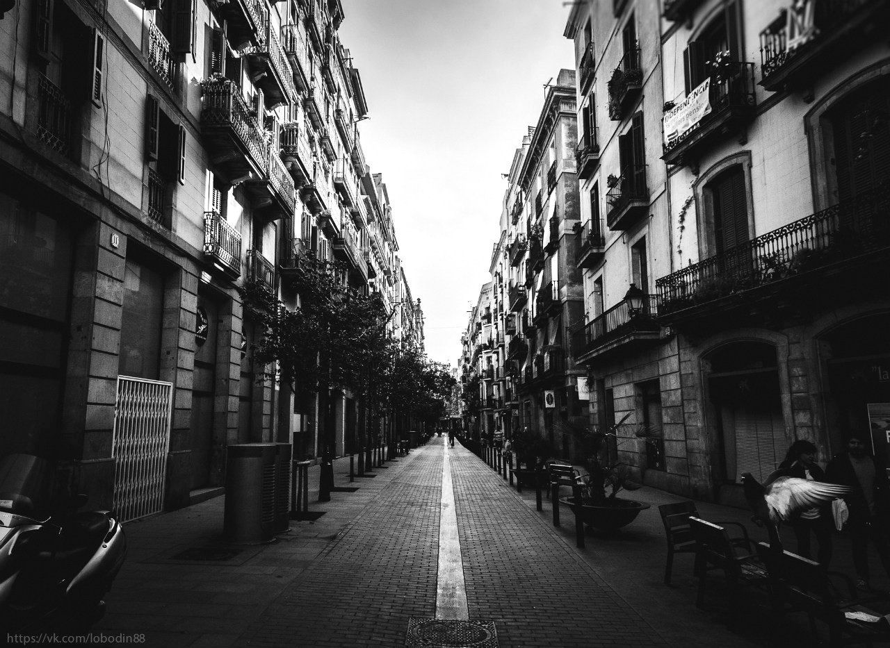 Black & white, Bw, Lines, Spain, Street, Барселона, Город, Испания, Улица, Андрей Лободин