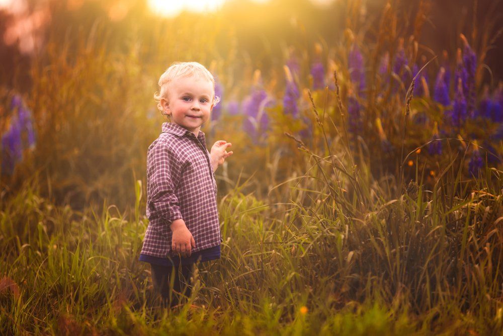 child, children, portrait, boy, nature, grass, meadow, flowers, sun, Milosz_G