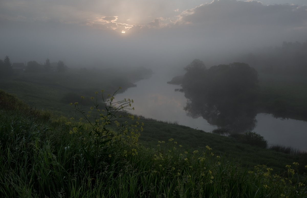 река ,туман ,утро ,рассвет, роса, река угра, Ирина Назарова