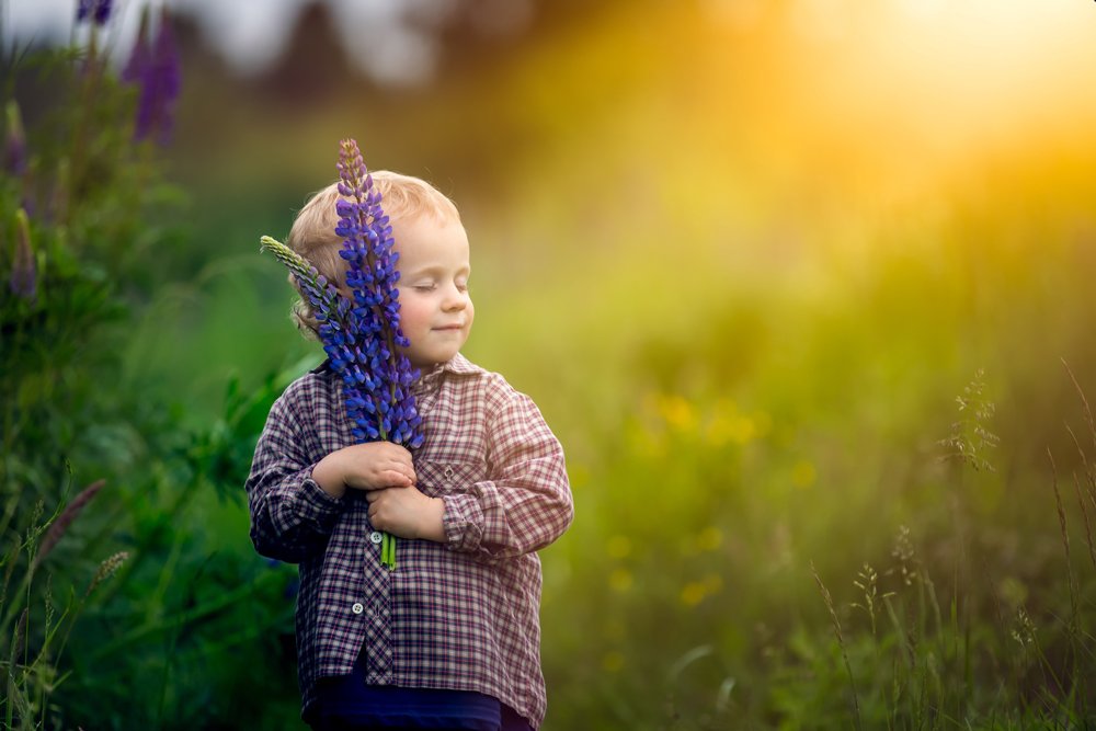 child, children, portrait, boy, nature, grass, meadow, flowers, sun, Milosz_G