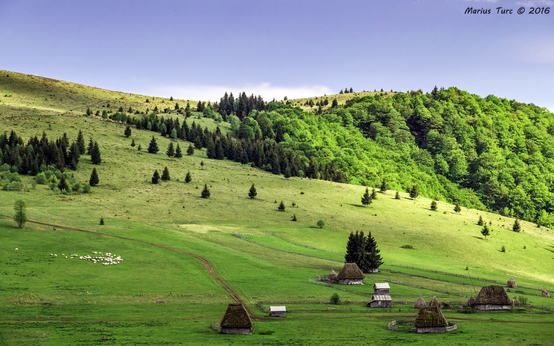 nature,land,time,evening.hills,trees,sheeps,old,houses, Marius Turc