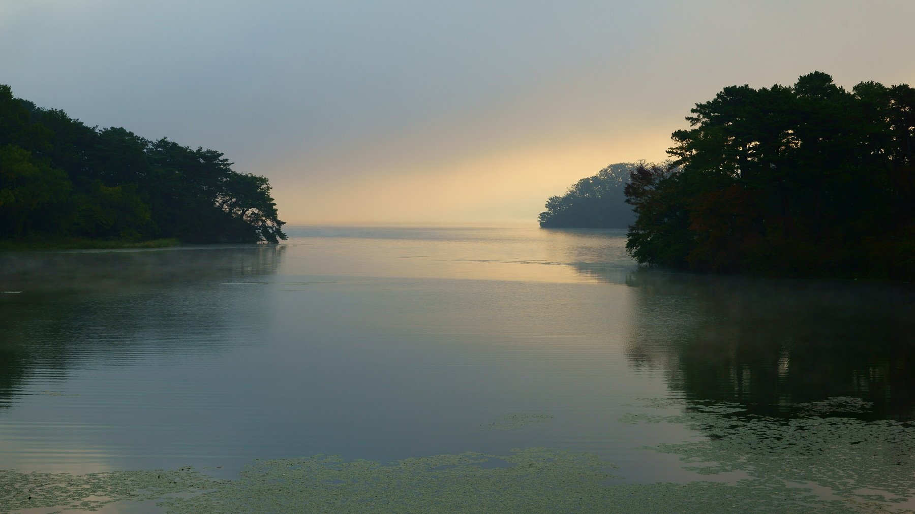 asia, korea, nature, river, morning, light, fog, island, riverside, tree, reflection, water lily, autumn, , Shin