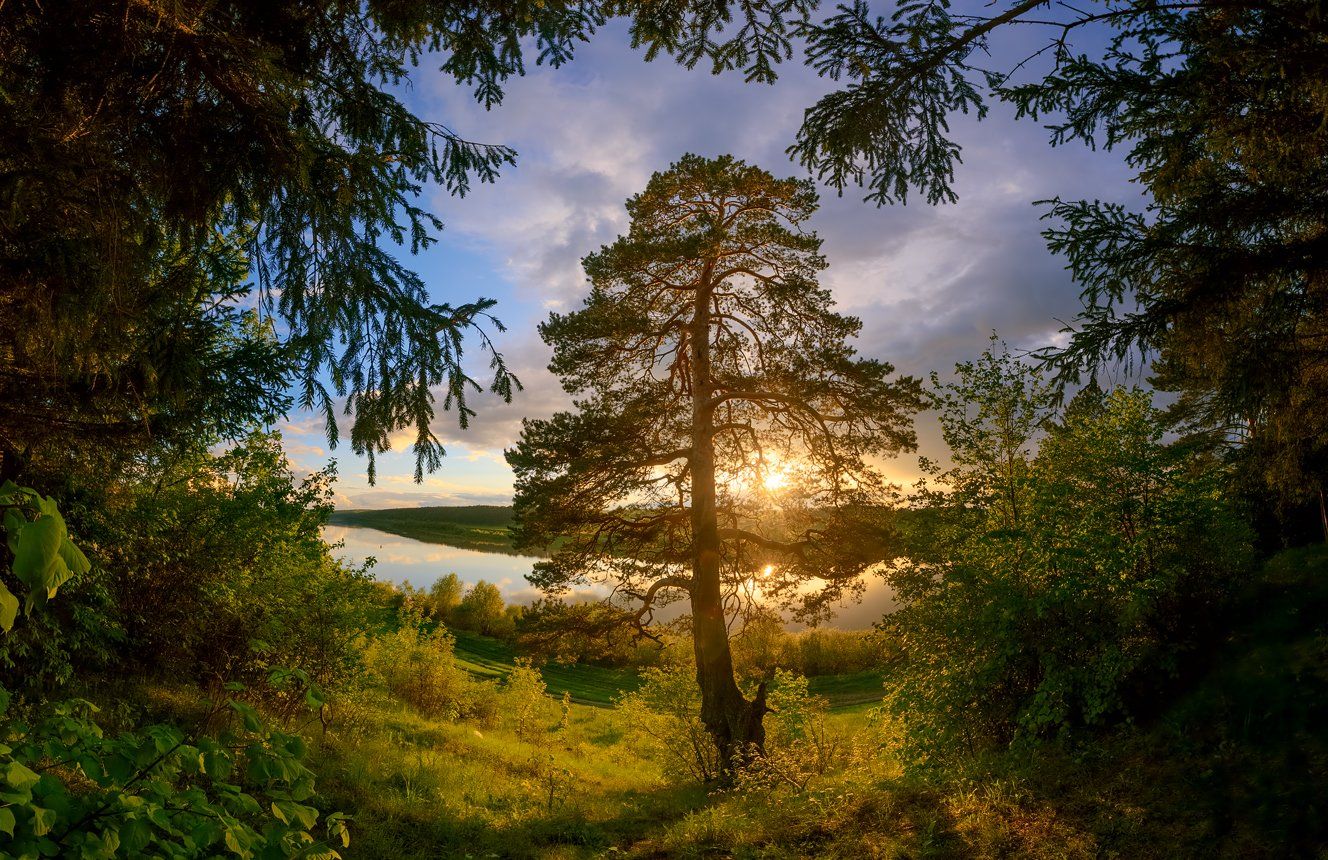 , Алексей Горохов