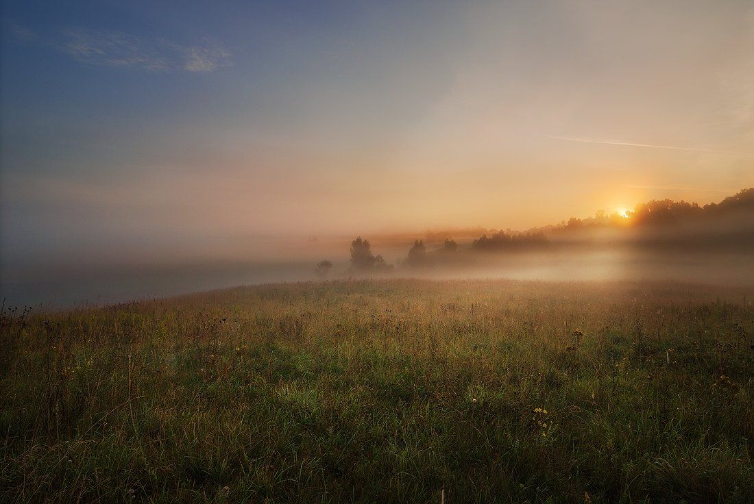 sunrise, morning, mist, summer, meadow, light, Justinas Kondrotas