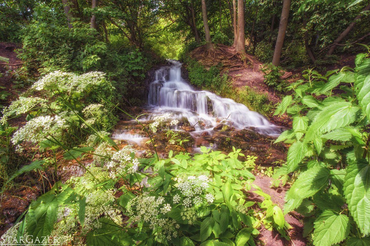 waterfall, lenadscape, nature, forest, river, Andrew Kolobov