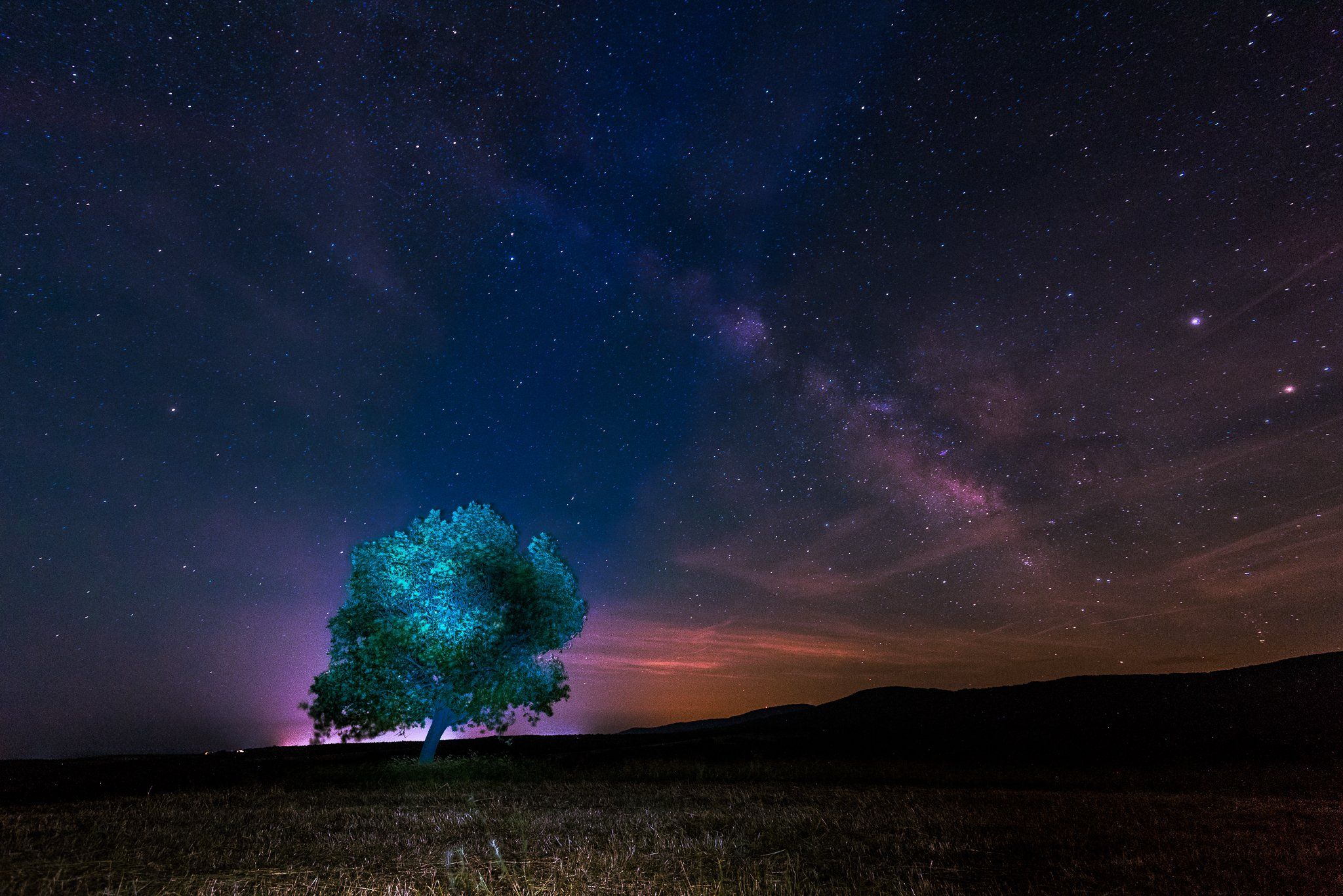 milky way, nightscape, tree, sky, stars, field, Jeni Madjarova
