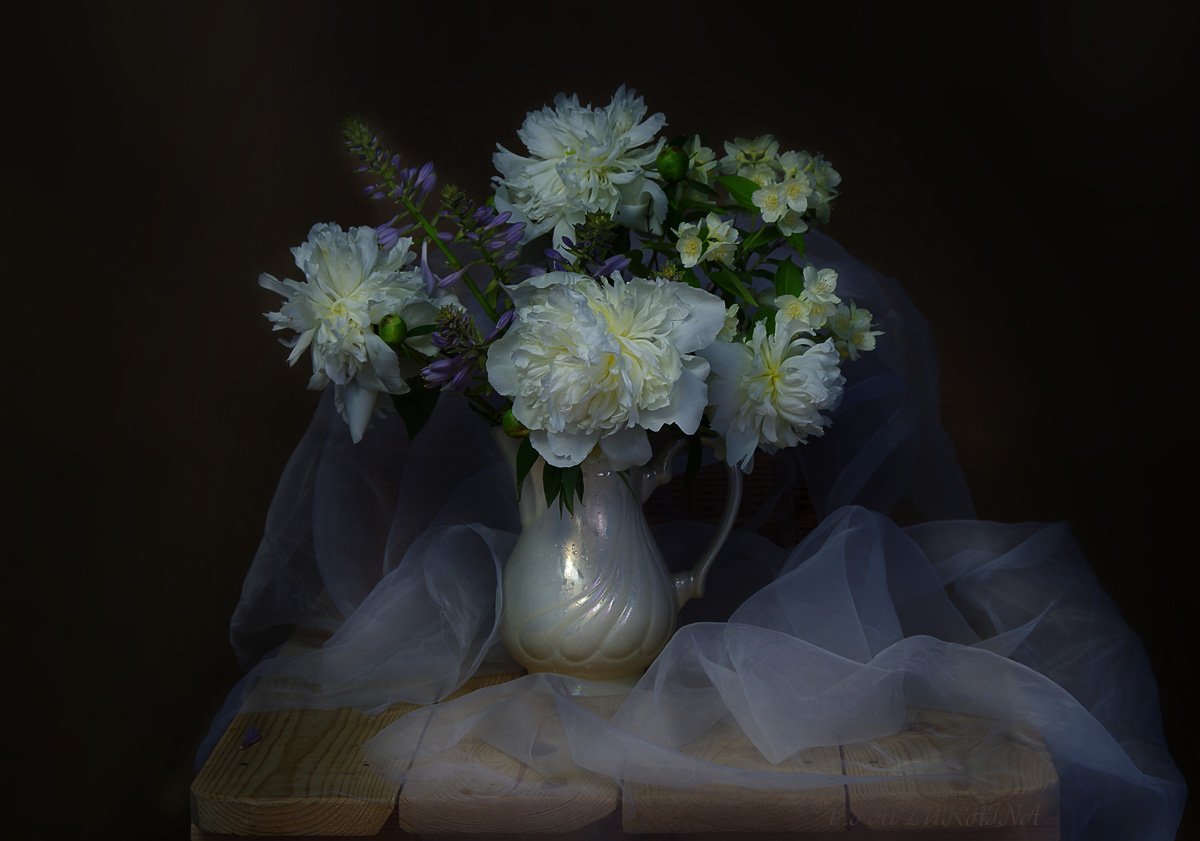 натюрморт с цветами, пионы, цветы, Вера Павлухина