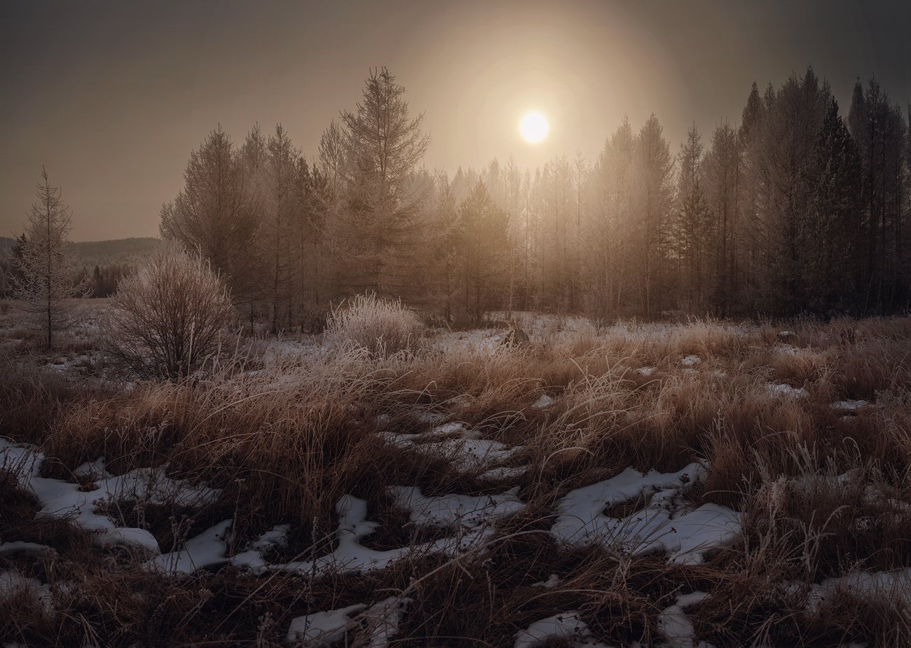 зима, лес, деревья, солнце, трава, свет, мороз, снег, иней, Дмитрий Демидчик