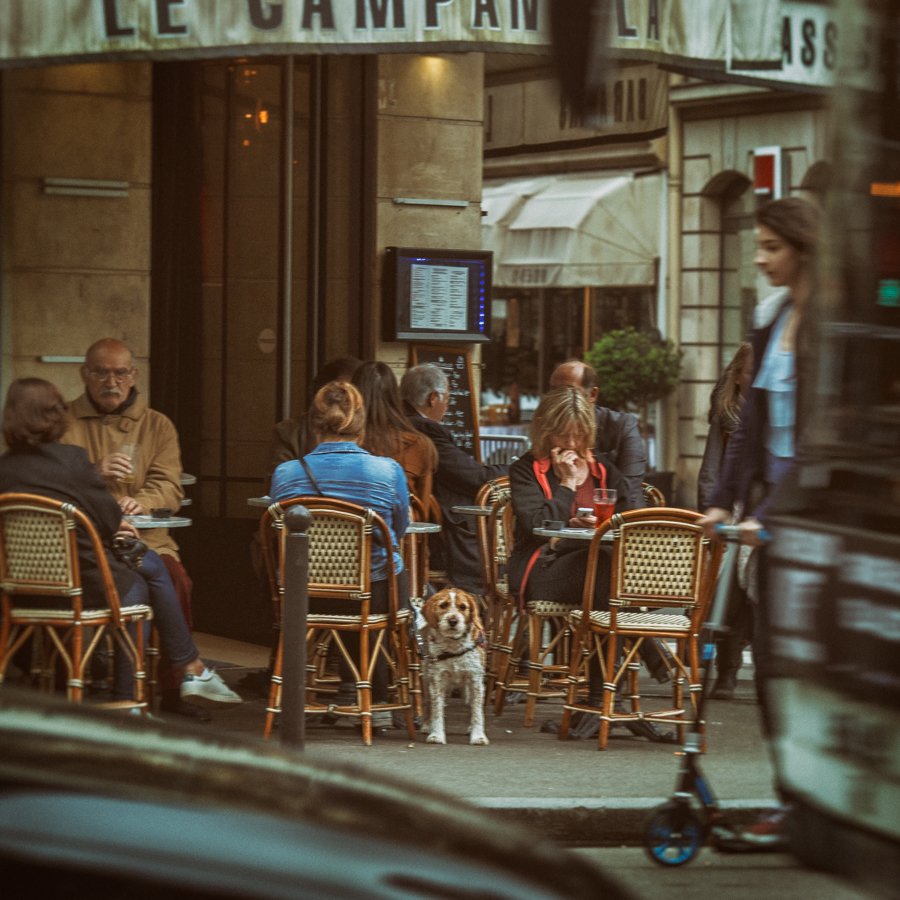 Париж, Собакен, Уличное кафе, Стяжкин Дмитрий