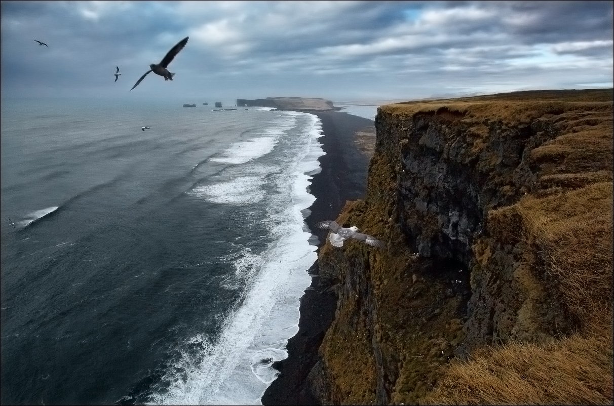 Исландия мыс Вик Vik чайки океан волны, Вадим Никифоров