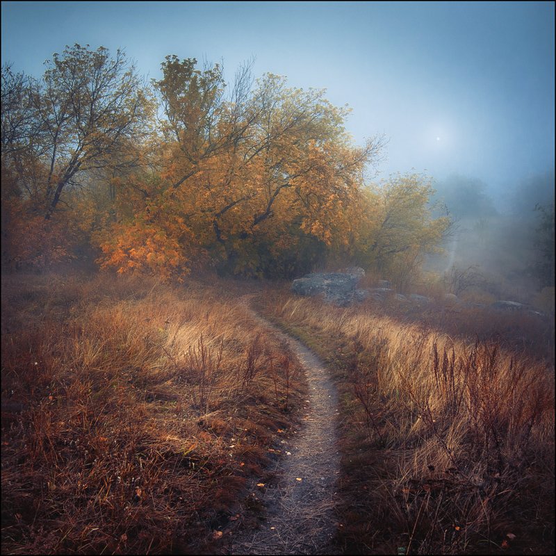 Осень, Туман, Илья Бисеров