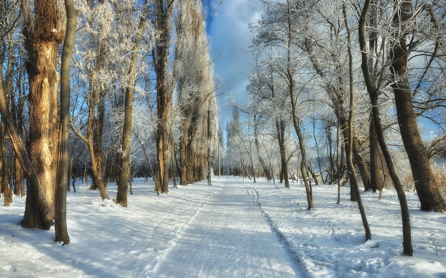 Зима, Александр Круль