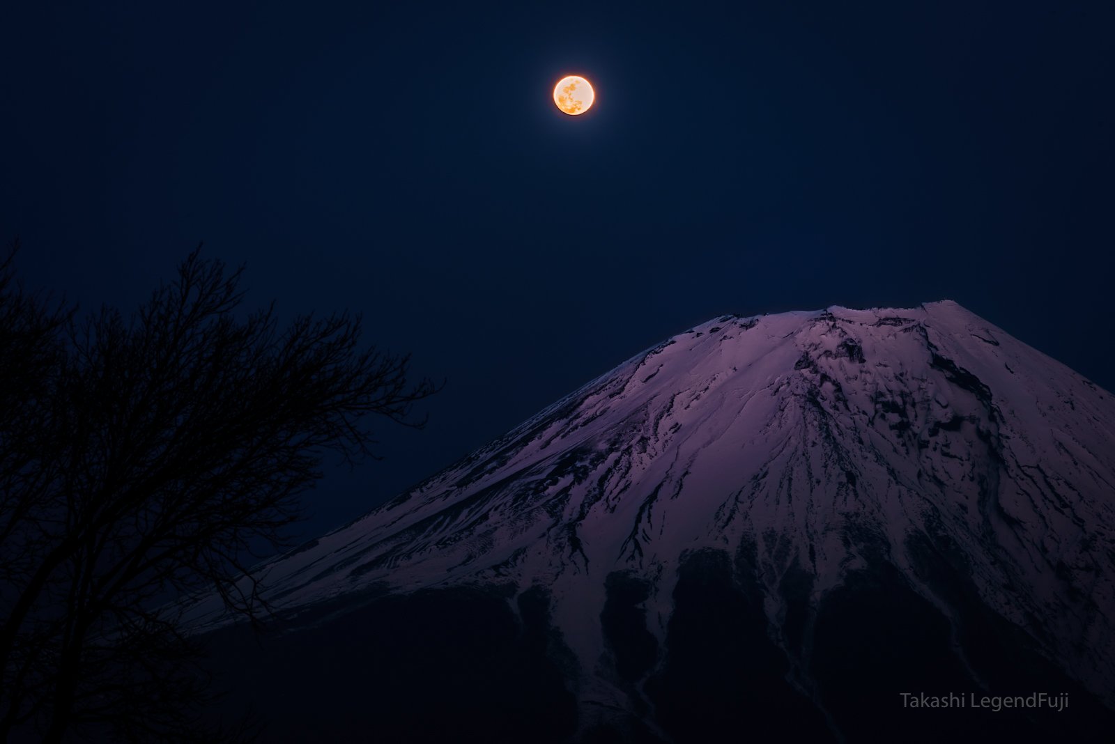 fuji,mountain,night,luna,moon,snow,purple,tree,, Takashi
