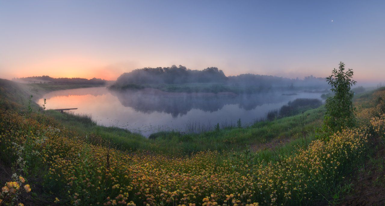 Nikon, Nikon D7100, Sigma10-20, Лето, На природе, Панорама, Пейзаж, Пейзажнаясъемка, Пейзажное фото, Путешествия, Рассвет, Река, Река Угра, Россия, Смоленская область, Туман, Утро, Фототурывыходногодня, Цветы, Жмак Евгений