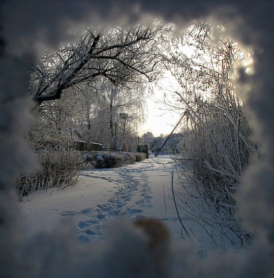 январь, окно, зима, холод, снег, VEB