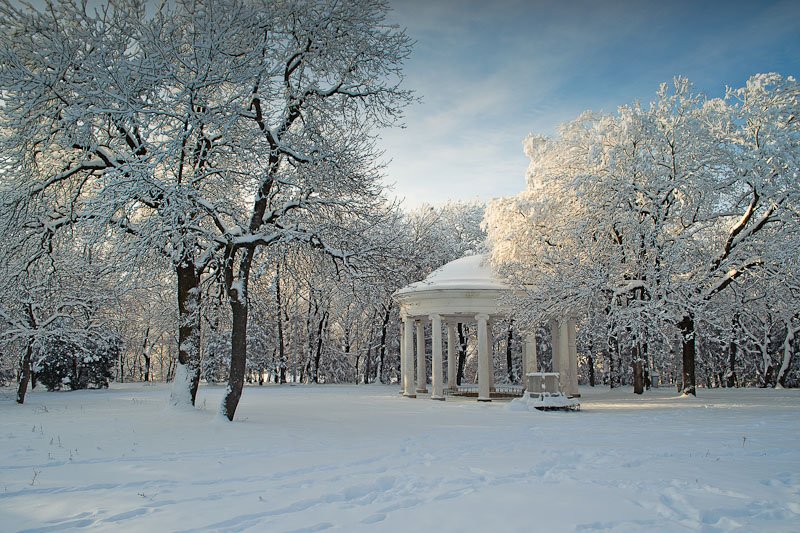 парк, Alexandr Shutov
