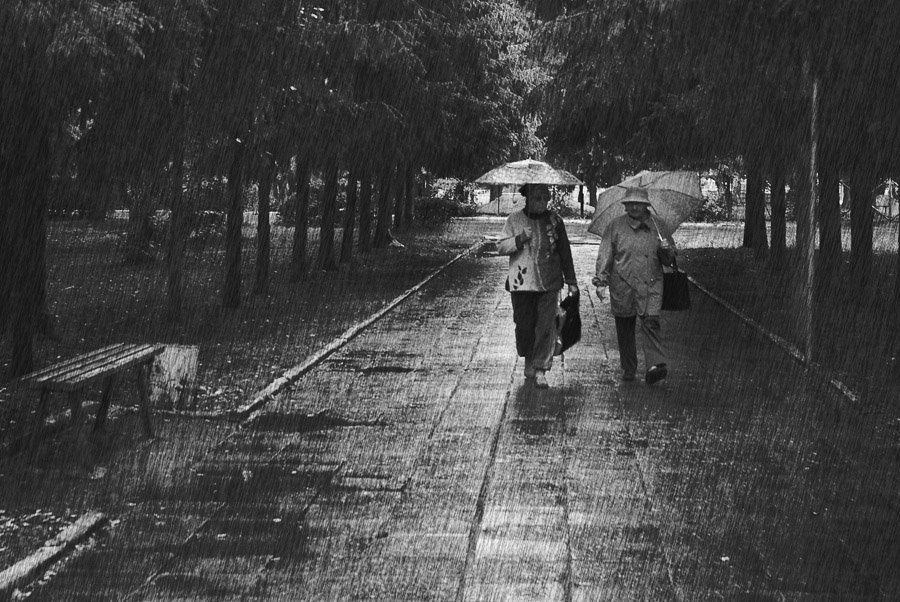 дождь, прогулка, Руденко Олег