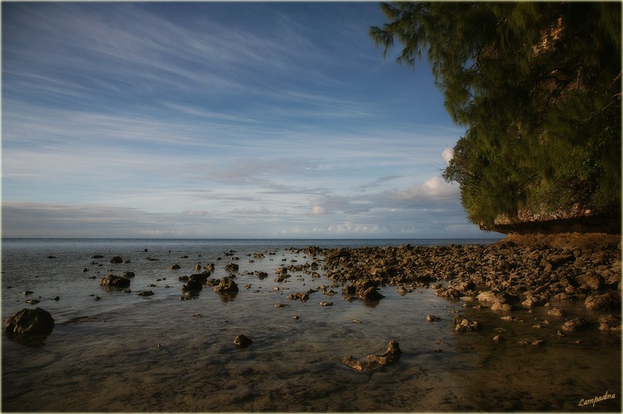микронезия, палау, необитаемый остров, Lampadina (Svetlana Maximova)