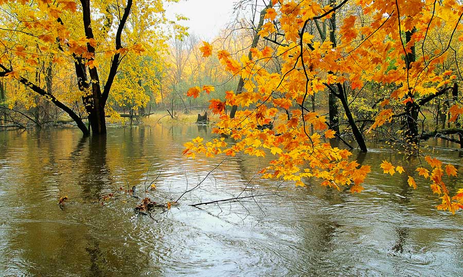 осень, половодье, река, природа, Pavel