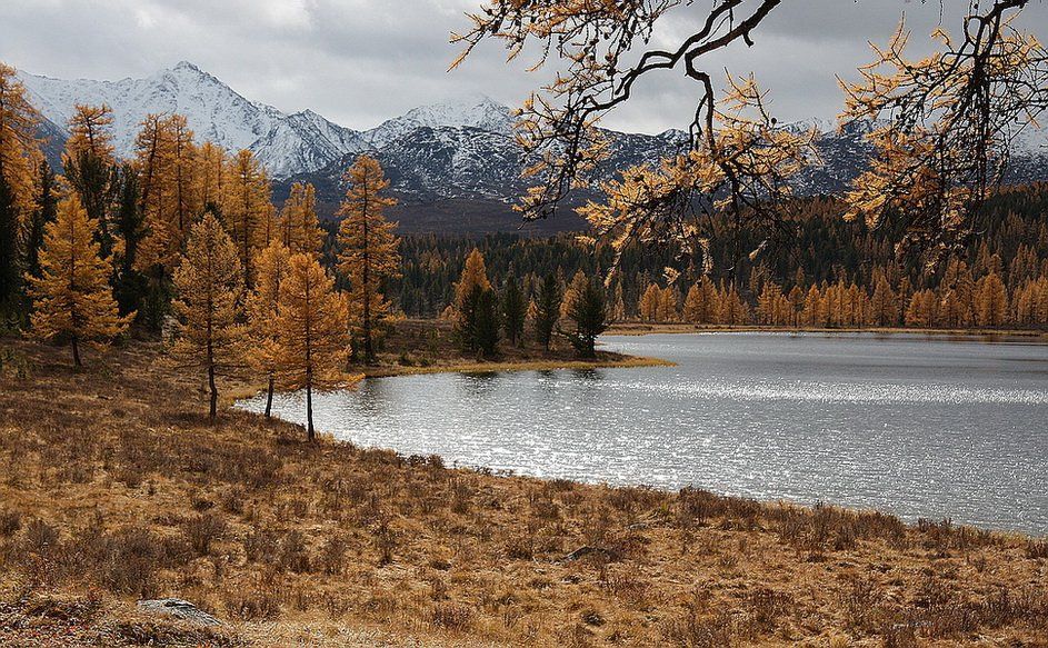 алтай,улаган., Олег