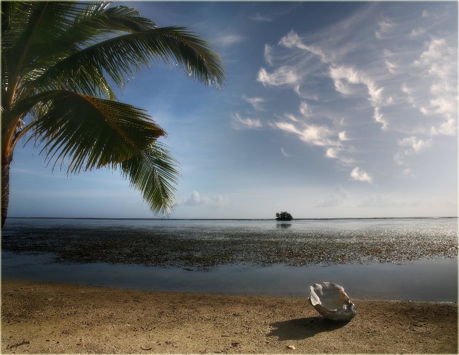 микронезия, палау, остров пилилу, оранжевый пляж, Lampadina (Svetlana Maximova)