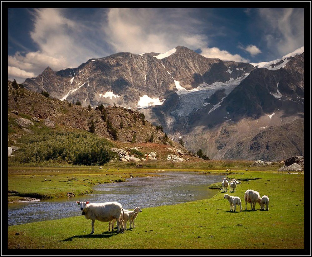 горы, , овцы, Gennadi