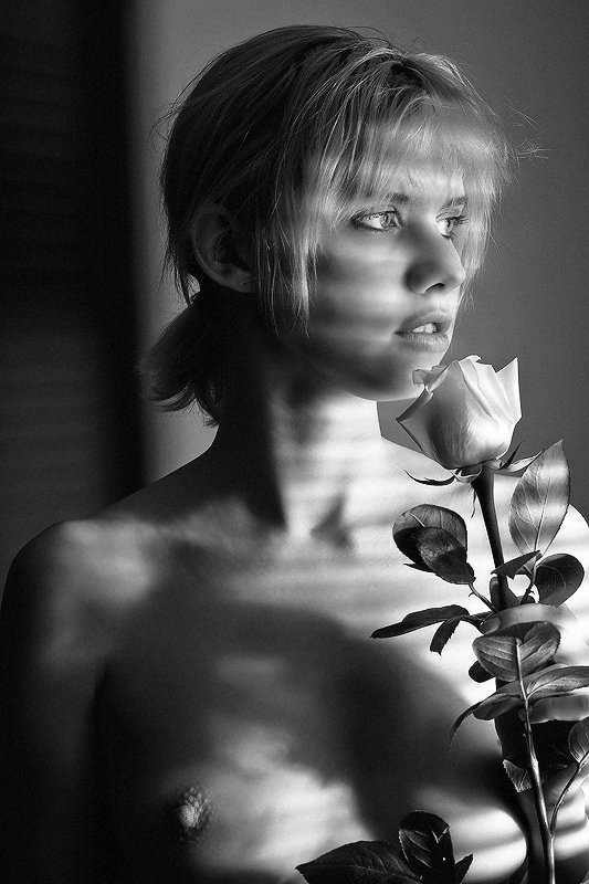 девушка, роза,окно, tolyan139