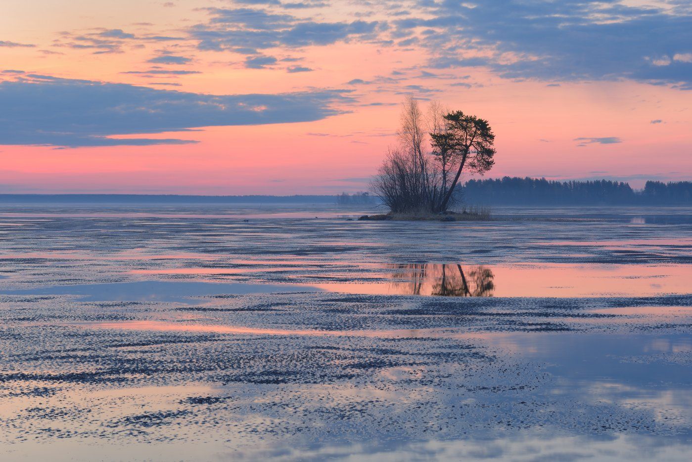 , Максим Евдокимов ( www.wildphotorus.ru )