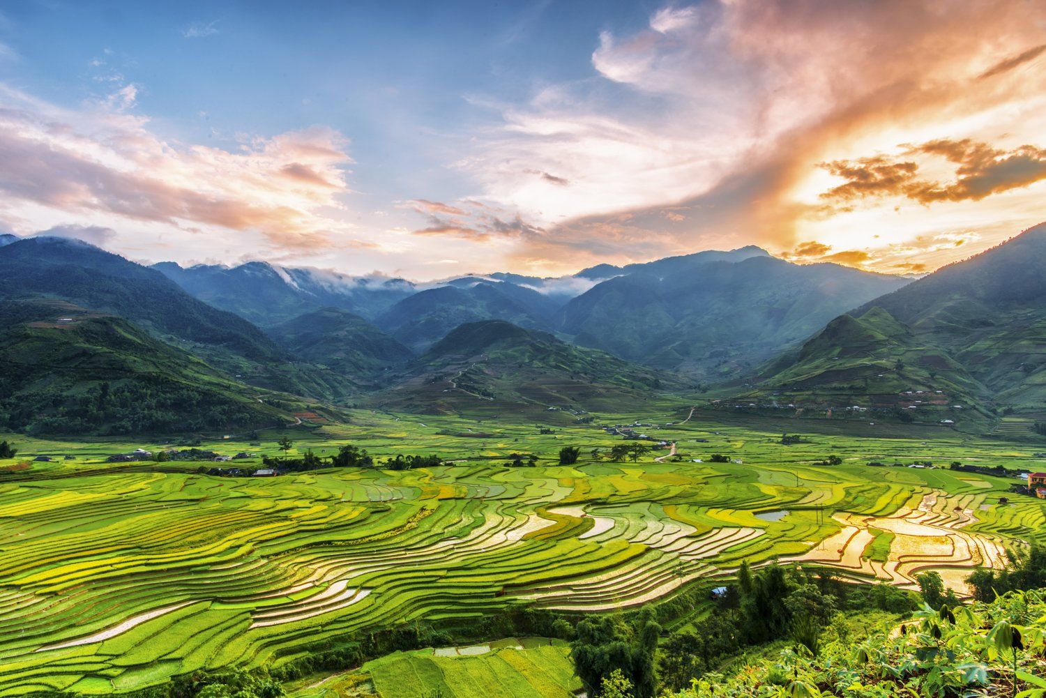 agriculture; asia; asian; cang; chai; curve; environment; farm; field; green; harvest; horticulture; land; landscape; mountain; mu; nature; plant; rice; rough; sapa; season; terrace; terraced; travel; valley; vietnam; water; , Dong Bui