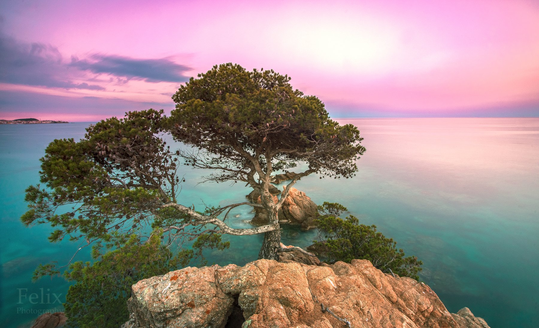 tree,rock,sea,evening,long exposure,costa brava,spain, Felix Ostapenko