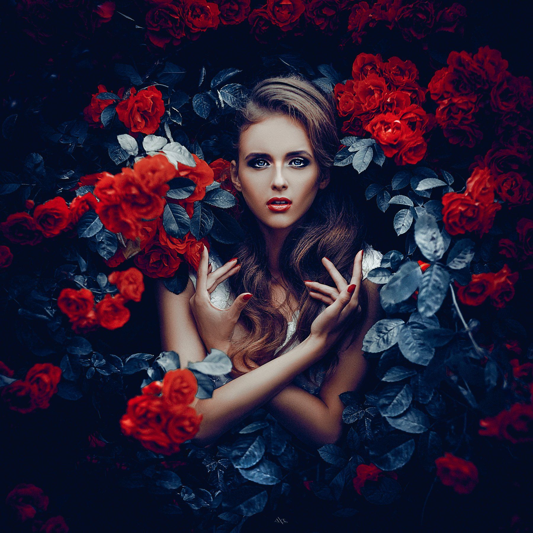 Fashion, Portrait, Roses, Toning, Woman, Руслан Болгов (Axe)