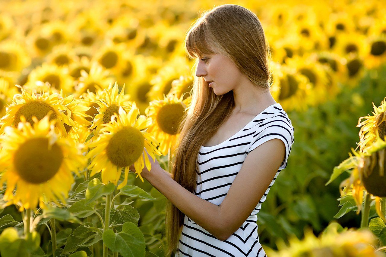 Sunflowers, Девушка, Лето, Подсолнухи, Поле, Солнце, Цветы, AlexeyAsoskov