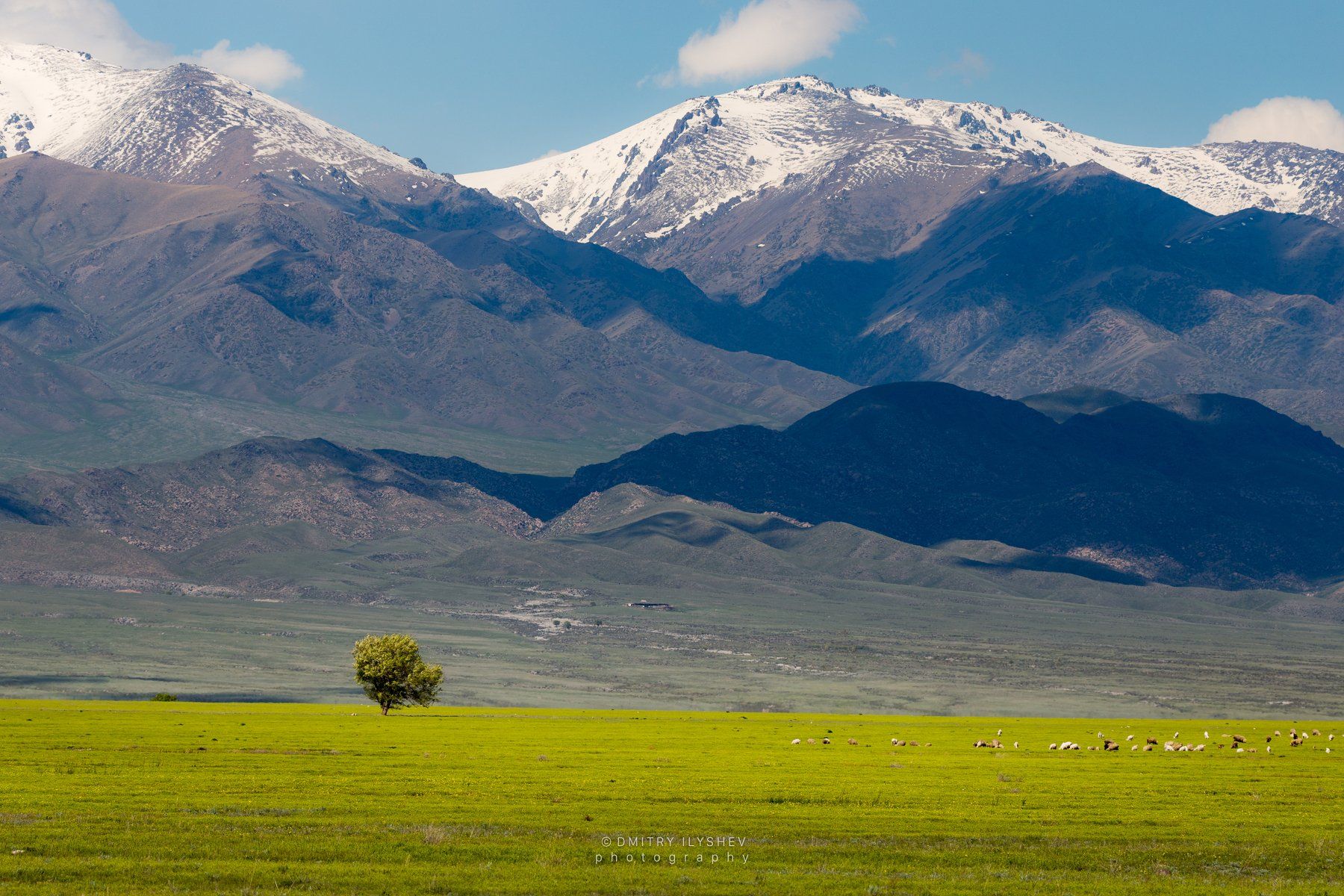 Юг Казахстана природа