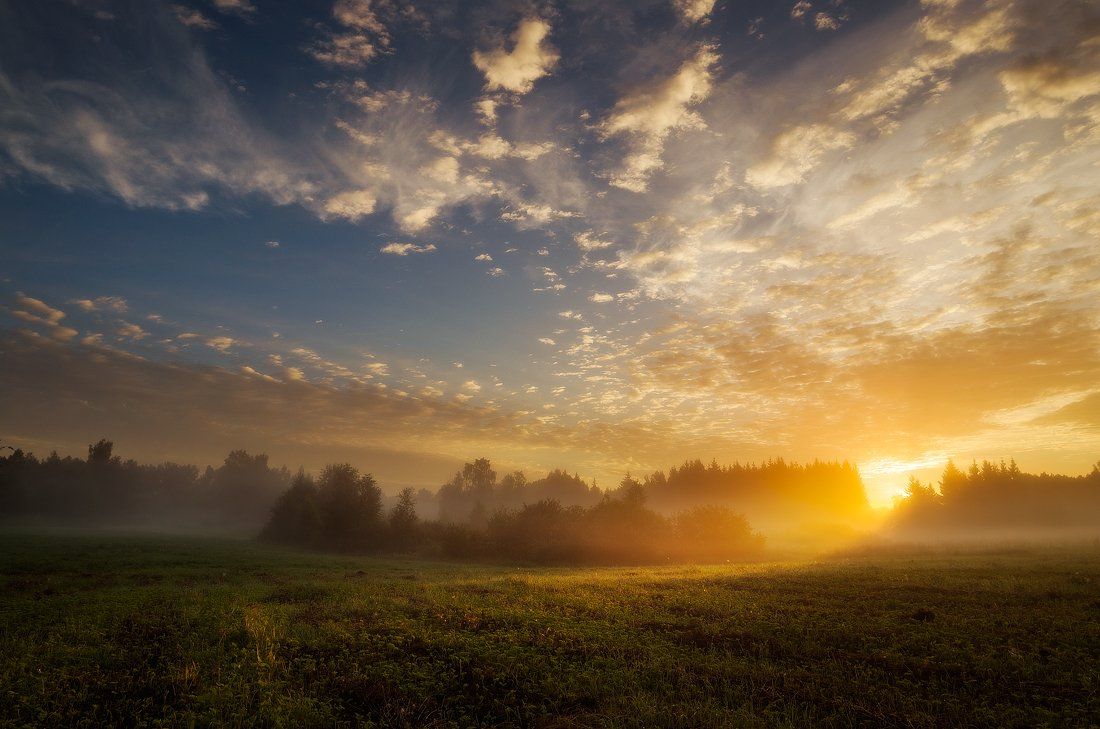 Clouds, Field, Fog, Forest, Mist, Sky, Summer, Sunrise, Trees, Justinas Kondrotas