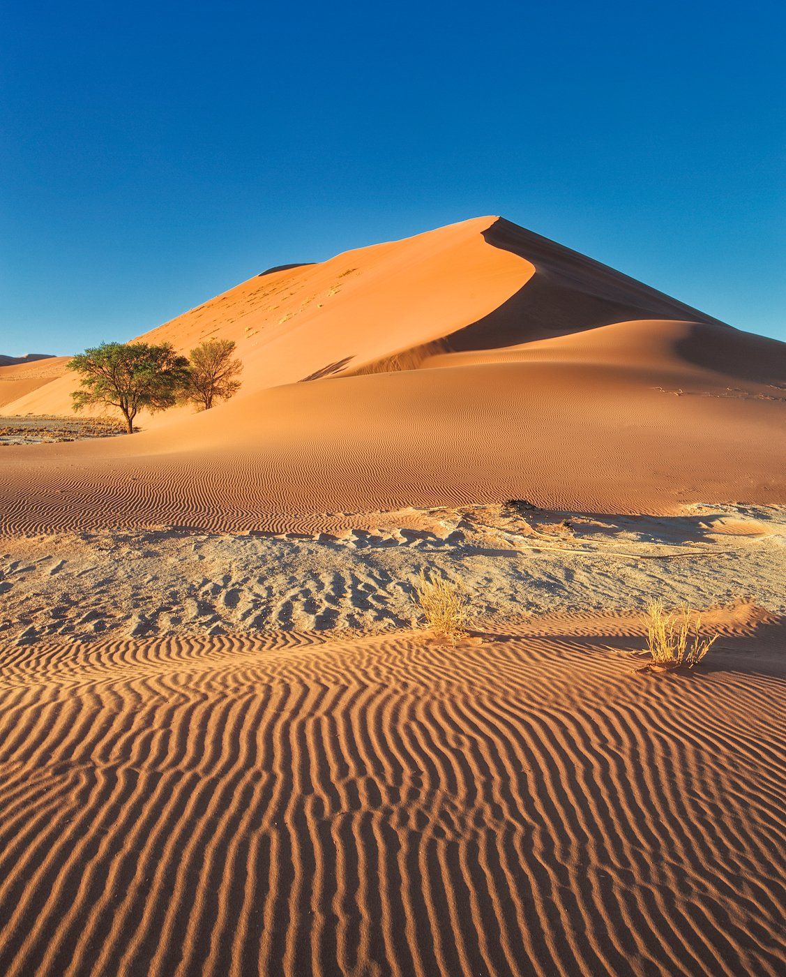 sossusvlei, dunesnamib-naukluft national park, sesriem, namibia, #loveafrica, mc, Маргарита Чернилова