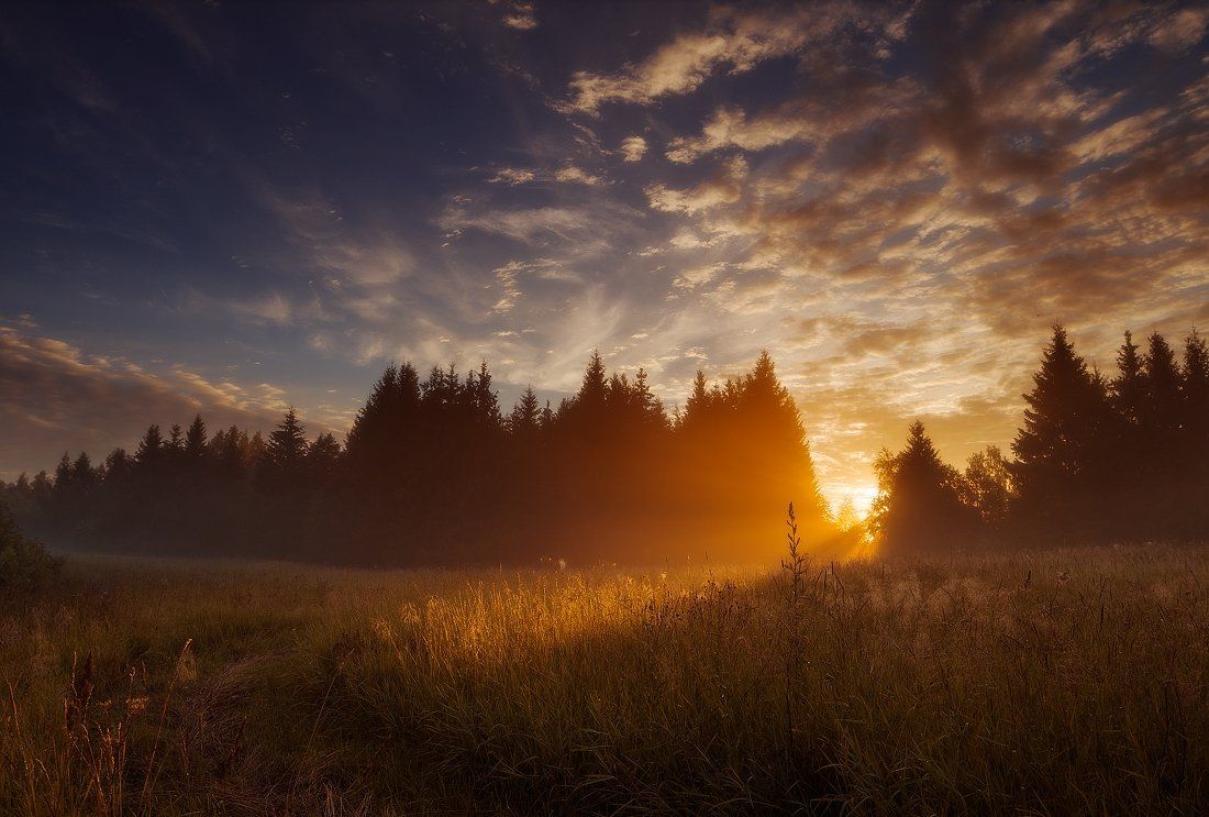 Clouds, Forest, Light, Meadow, Mist, Morning, Summer, Sunrise, Justinas Kondrotas