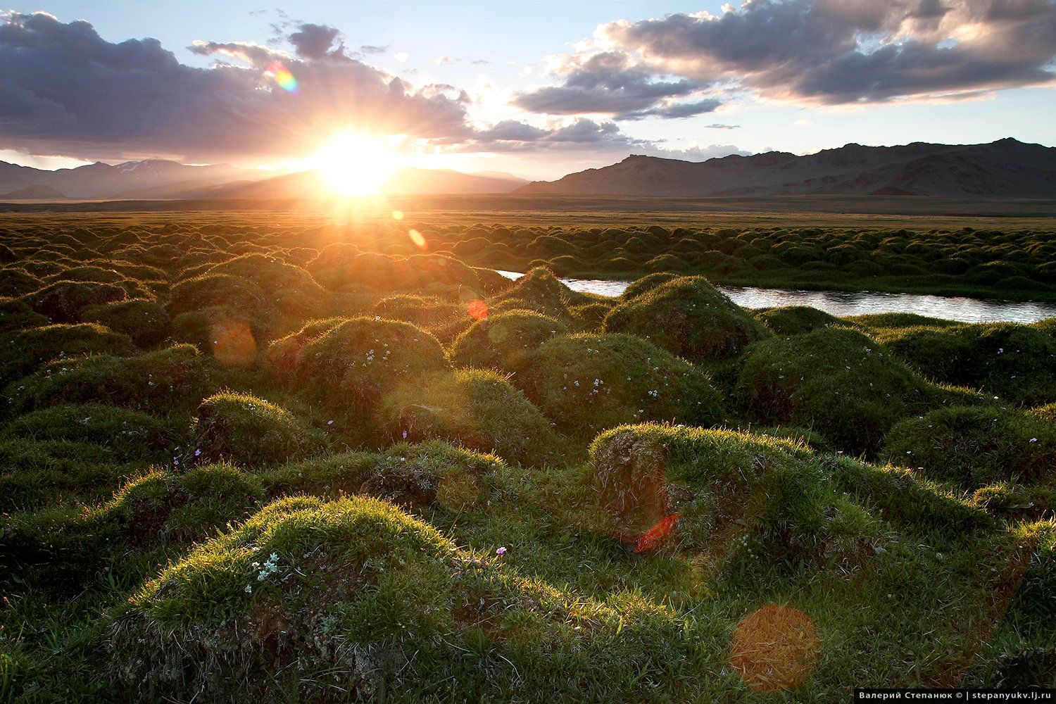 солнце, закат, Монголия,трава, Степанюк Валера