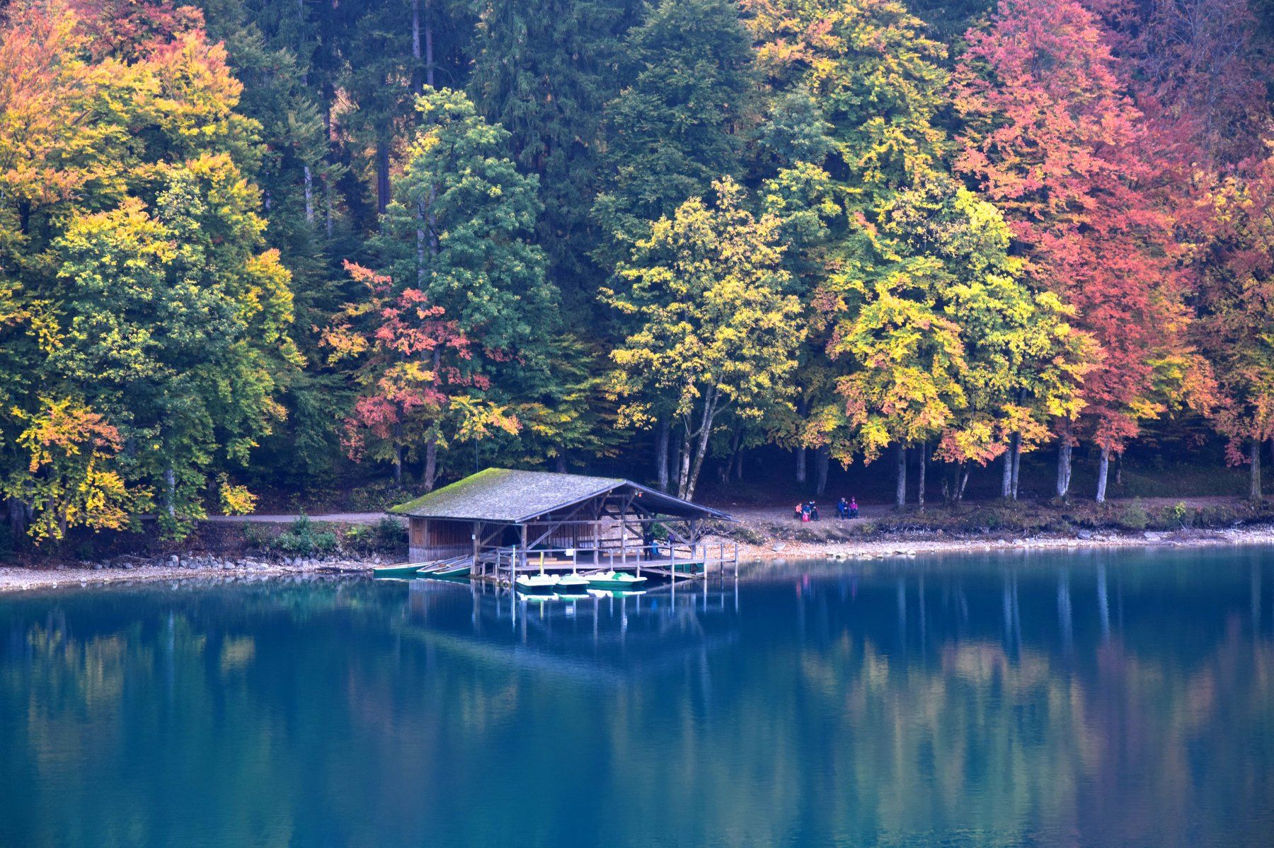 пейзаж, осень, деревья, краски, озеро, германия, Сергей Кичук