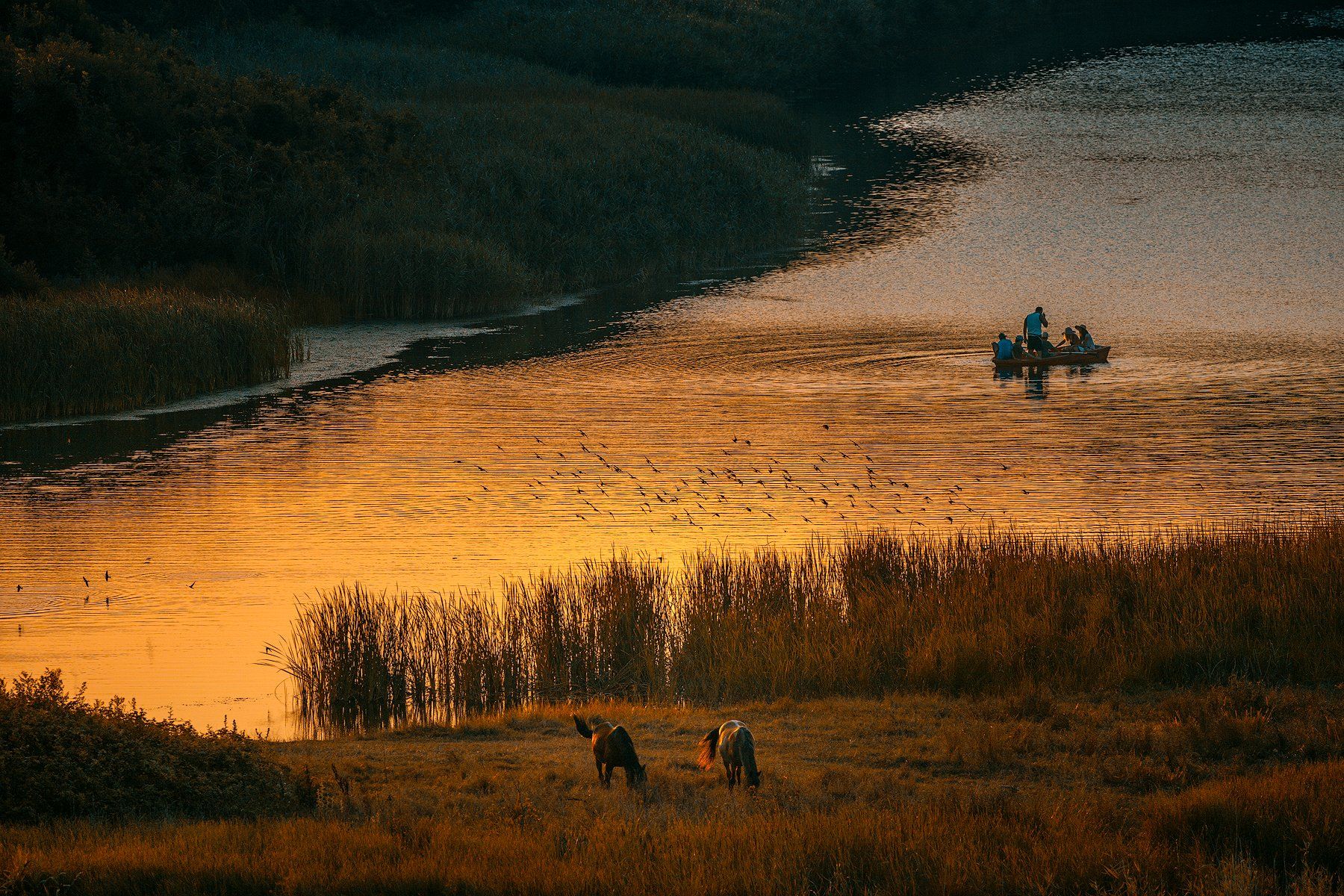 boat, gold, horses, mirror, morning, people, river, Todor Bozhkov