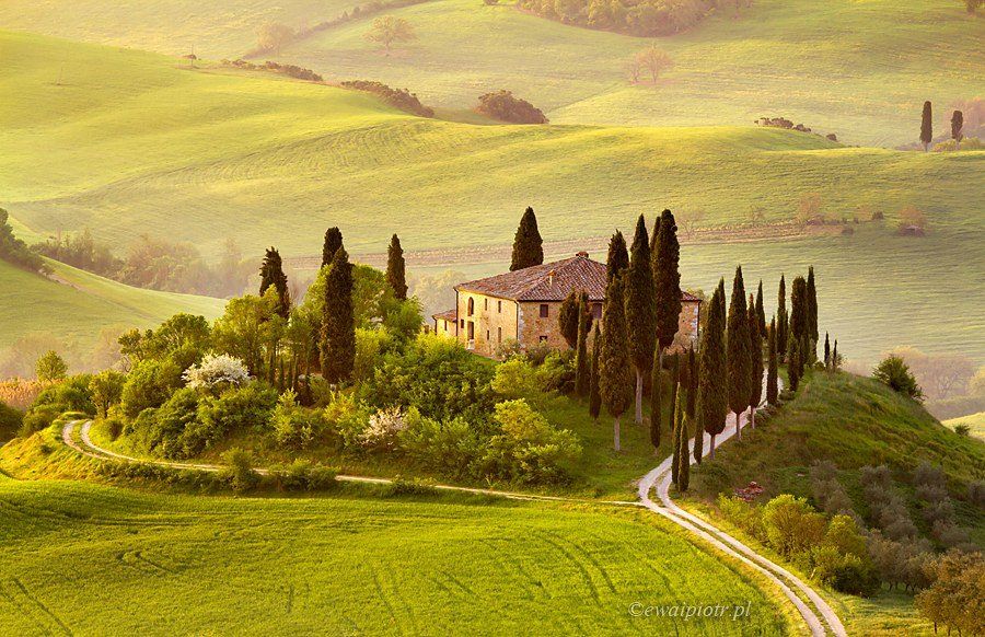 Tuscany, Italy, landscape, sunrise, cypress, hills, villa, Piotr Debek