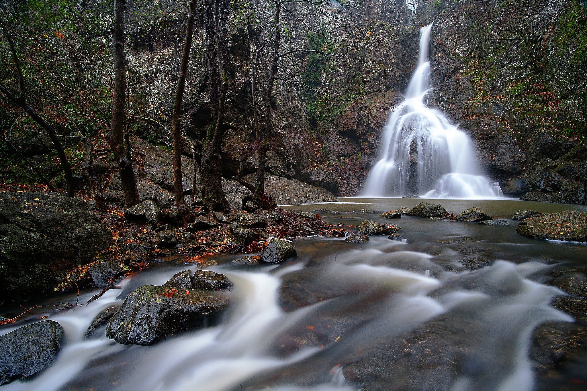 waterfall trees leaves river rocks turkey yalova water, Taner Ragıpoğlu