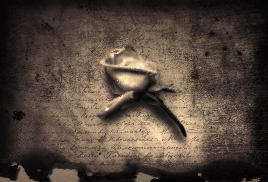 роза, письмо, mariavgorskaya
