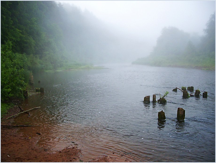 пейзаж,туман,река,лес, Андрей,любитель 35photo