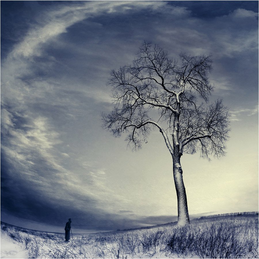 человек, дерево, ветви, поле, снег, небо, пространство, даль, бездна, Пётр Мусатов