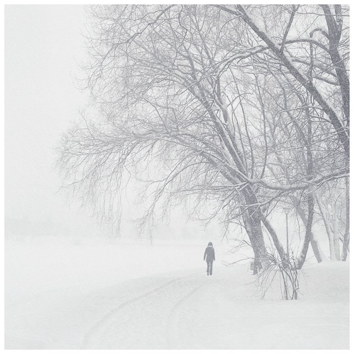 парк, зима, снег, человек, пейзаж, деревья, жанр, Oleg Dmitriev
