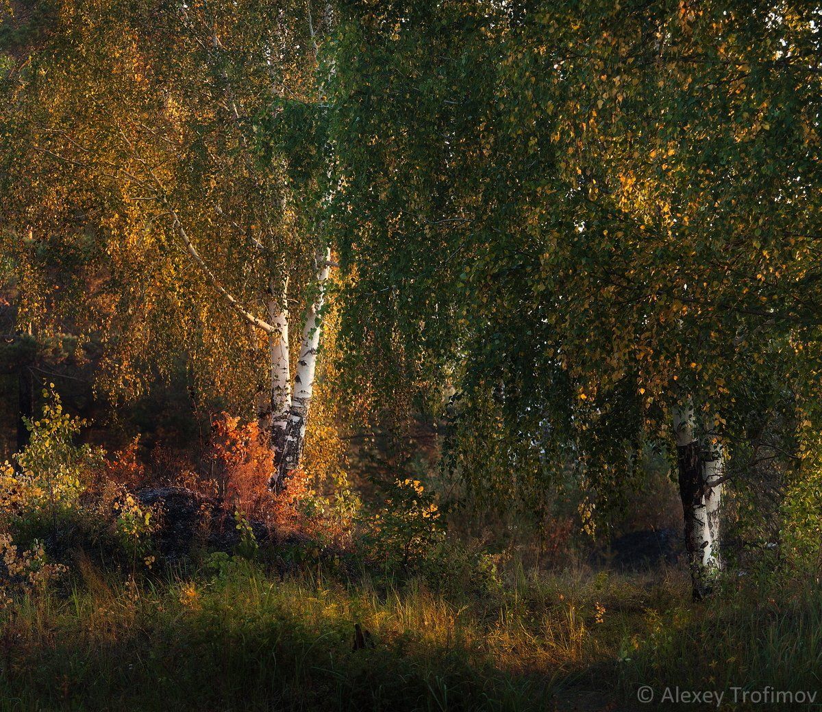 Ангара, Осень пейзаж, Сибирь, Алексей Трофимов