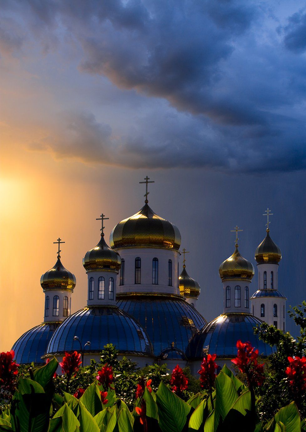 собор, церковь, цветы, закат, Фото Брест