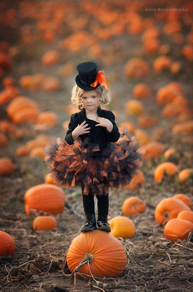 pumpkin, autumn, outdoor portrait, AnnaRozwadowska