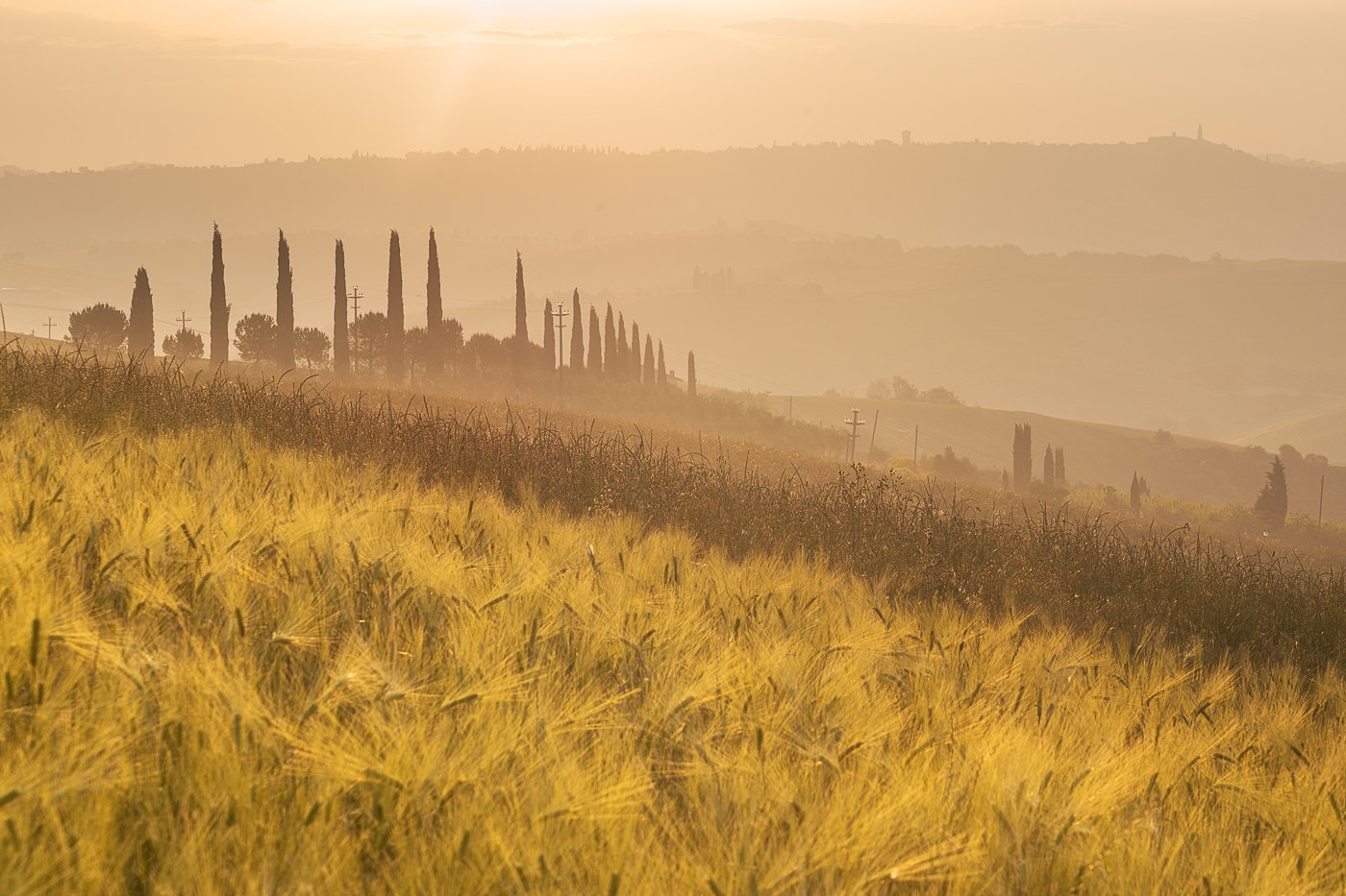 Тоскана Италия рассвет поле трава туман, Olek Verze