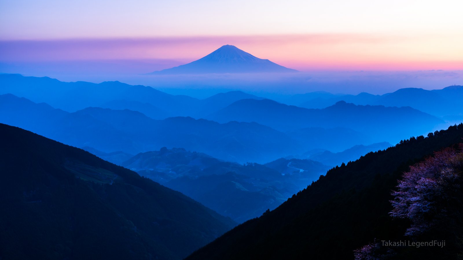 Fuji,mountain,Sakura,cherry,morning,dawn,blue,pink,beautiful,amazing,, Takashi